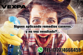  - Fumigaciones Vexpa