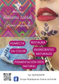  - Grupo Nopalyecac