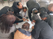  - Consultoría Lubemi