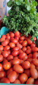 - Frutas y Verduras El Mercadito de Juquila