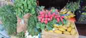  - Frutas y Verduras El Mercadito de Juquila