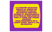  - NEUROACTIVE