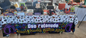  - Oso Ratonudo
