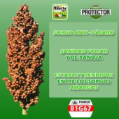  - Agropecuaria Petsland