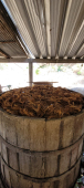  - Barro Agave