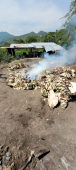  - Barro Agave