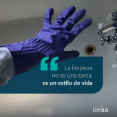  - Linsa - Mantenimiento y Limpieza