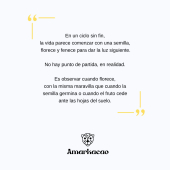  - Amarkacao