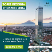 - INMOBILIARIA WSR