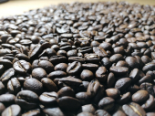  - Finca Kahave