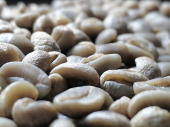  - Finca Kahave