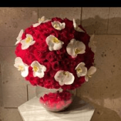  - Bellaflor puebla