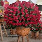  - Bellaflor puebla