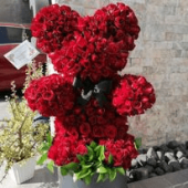  - Bellaflor puebla