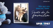  - SpiritPat - Casita Funeraria