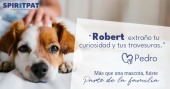  - SpiritPat - Casita Funeraria
