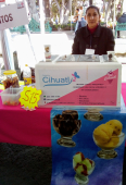  - Nieves y Helados Cihuatl