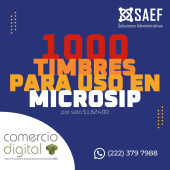  - SAEF Soluciones Administrativas