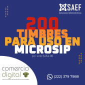  - SAEF Soluciones Administrativas
