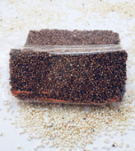  - Nutrifut