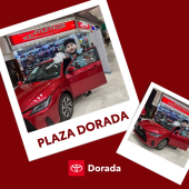  - Toyota Dorada
