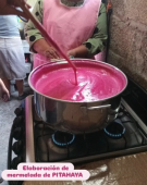  - Flor Mixteca