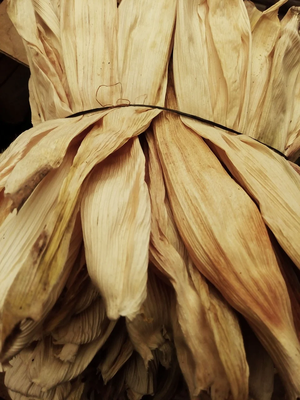  - Hoja Real - Hojeros Indígenas de la Sierra Poblana