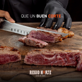  - REGIO NORTE
