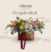  - La Maceta Florería