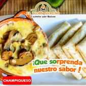  - TIZON SUREÑO