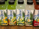  - Global Aloe