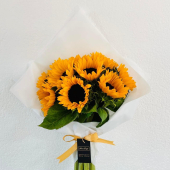  - Flores Fergat