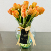  - Flores Fergat