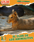  - El Club de los Animalitos
