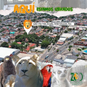  - El Club de los Animalitos