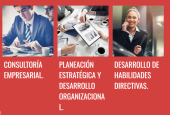  - Proyectos NL