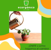  - Disposición y Tratamiento Orgánico