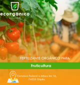  - Disposición y Tratamiento Orgánico