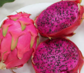  - Dichis - Derivados de pitaya