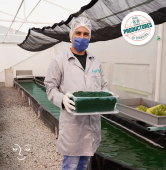  - Felizvita Espirulina