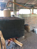  - Barro Agave
