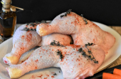  - Distribuidora de pollo - El Gallo Giro S.A. de C.V.