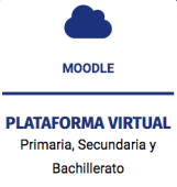  - Instituto Vanderbilt