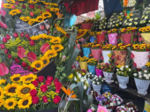  - Detalles que enamoran
