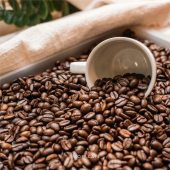  - KOPI - El Auténtico Café