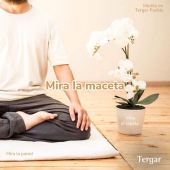  - Tergar Meditación Center Puebla