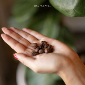  - KOPI - El Auténtico Café