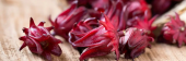  - Roja Mixteca