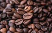  - Nattucaff