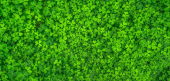  - BIOTASK - Soluciones Ecológicas